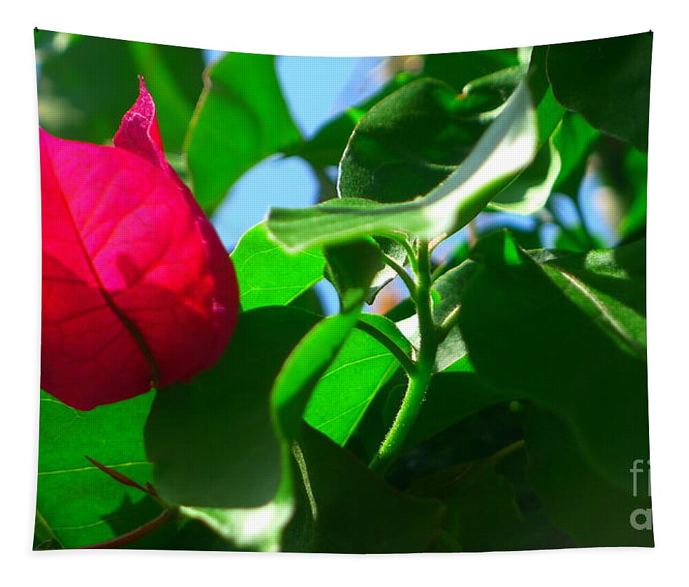 Bougainvillea Tapestry featuring the photograph Bougainvillae III by Nora Boghossian