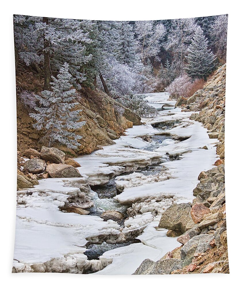 Winter Tapestry featuring the photograph Boulder Creek Frosted Snowy Portrait View by James BO Insogna