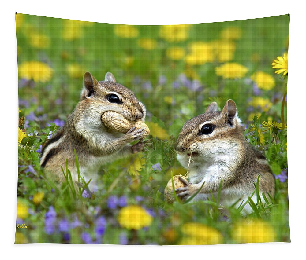 Chipmunk Tapestry featuring the photograph Bountiful Generosity by Christina Rollo
