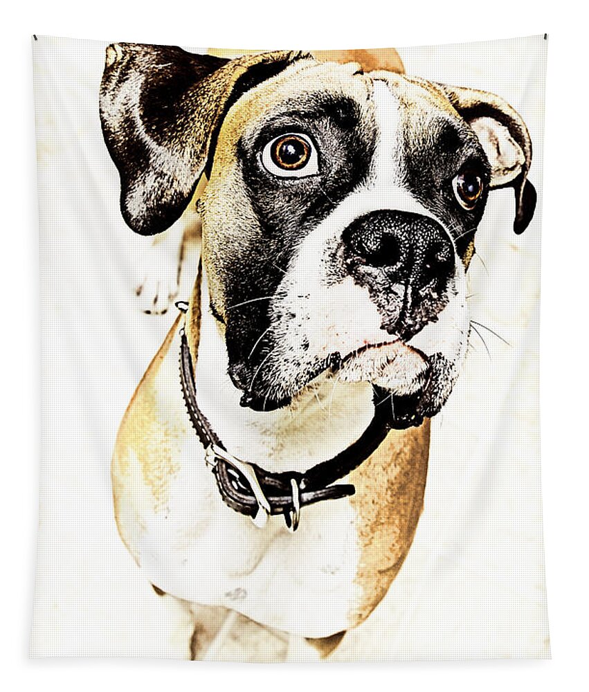 Animal Tapestry featuring the photograph Boxer dog poster by Peter V Quenter