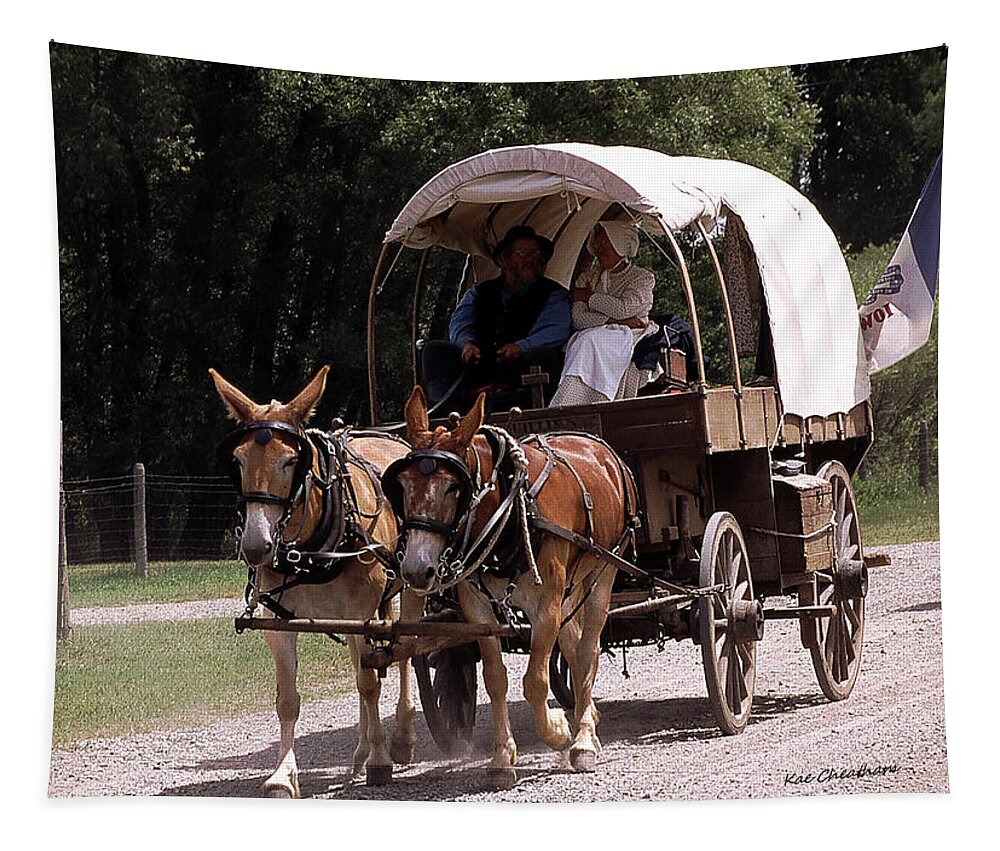 Covered Wagon Tapestry featuring the photograph Bozeman Trail Original by Kae Cheatham
