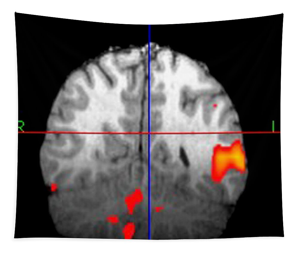 Fmri Tapestry featuring the photograph Brain Activity During Language Task, 3 by Living Art Enterprises