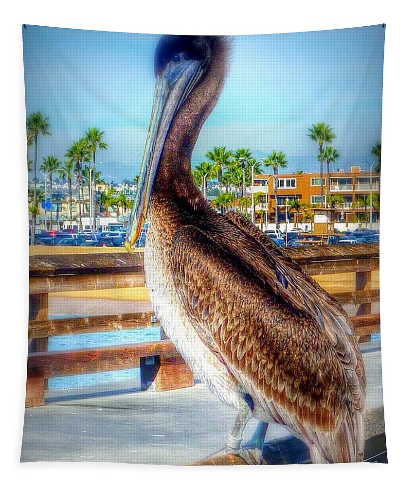 California Coastal Brown Pelican Tapestry featuring the photograph Brief Pelican Encounter by Susan Garren
