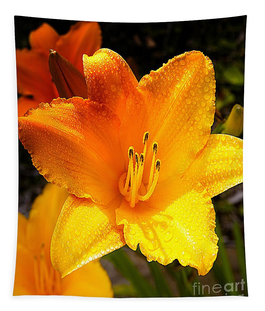 Bright Yellow Blossom Daylily With Rain Drops Fine Art Photography Prints Home Decor Office.yellow Daylilies Tapestry featuring the photograph Bright Yellow Daylily Flower by Jerry Cowart