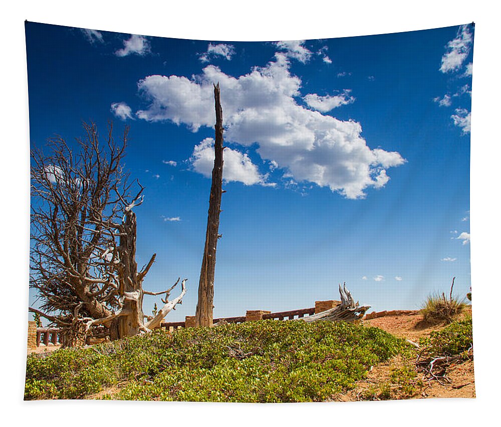 Faa_export Tapestry featuring the photograph Bristlecone pine by Kunal Mehra