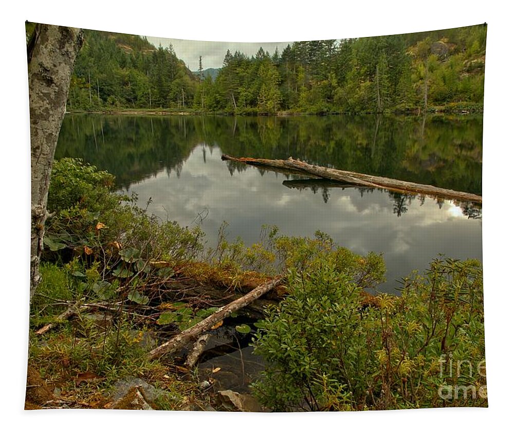 Starvation Lake Tapestry featuring the photograph British Columbia Starvation Lake by Adam Jewell