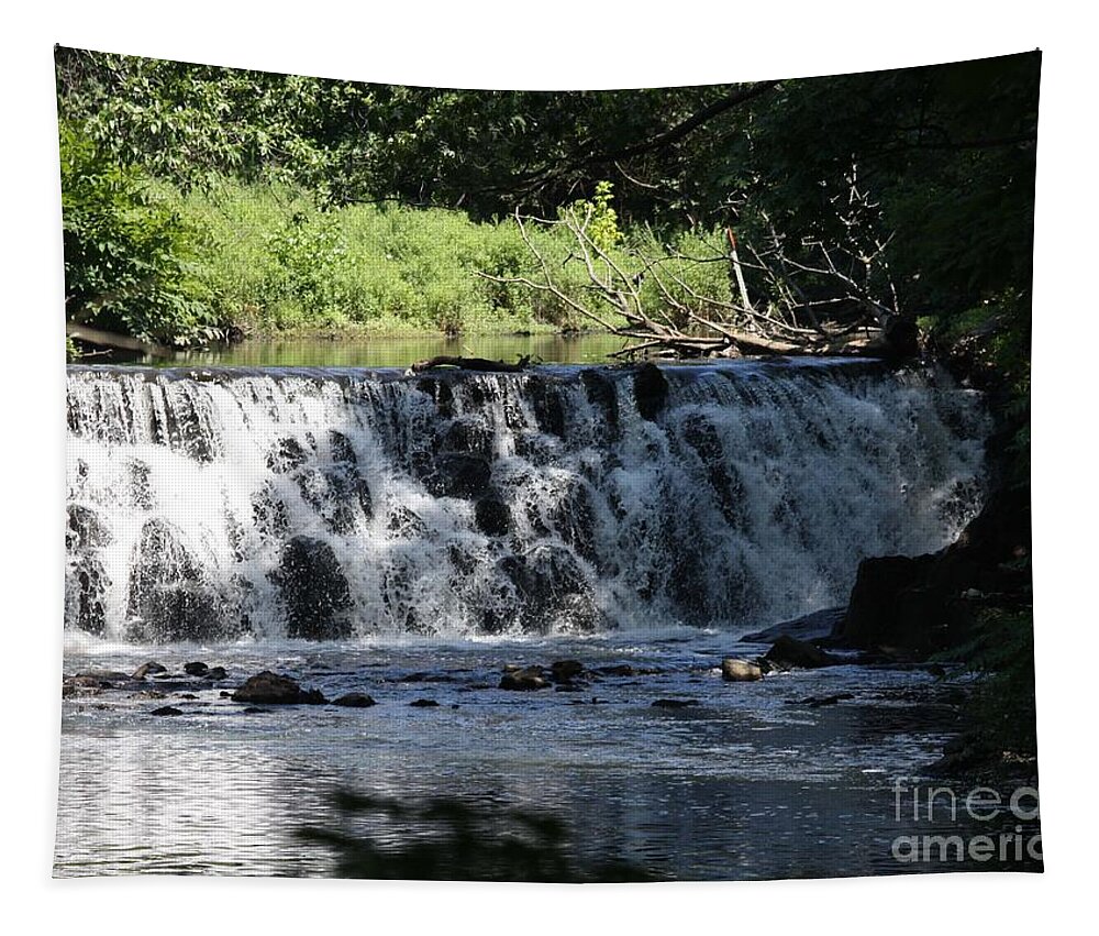 Bronx River Waterfall Tapestry featuring the photograph Bronx River Waterfall by John Telfer