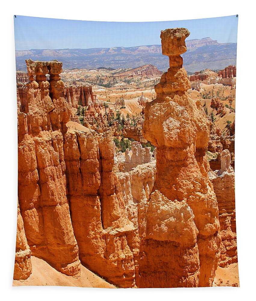 Desert Tapestry featuring the photograph Bryce Canyon 2 by Mike McGlothlen
