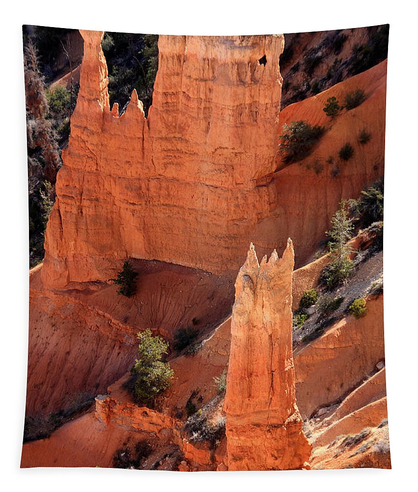 Aidan Moran Tapestry featuring the photograph Bryce Canyon National Park - Utah - North America by Aidan Moran