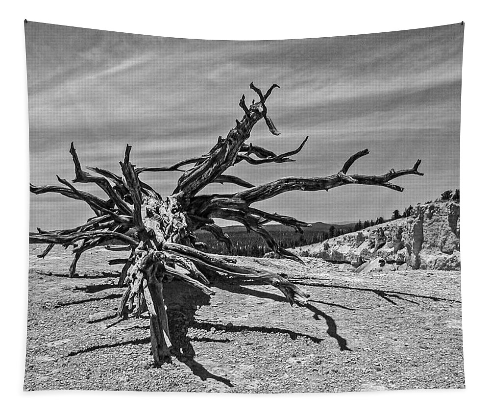 Bryce Tapestry featuring the photograph Bryce Canyon Tree Art by John Haldane