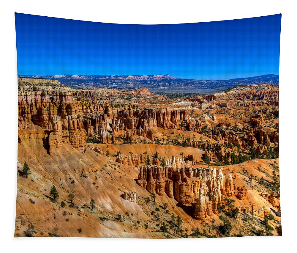Bryce Canyon Tapestry featuring the photograph Bryce's Glory by Chad Dutson