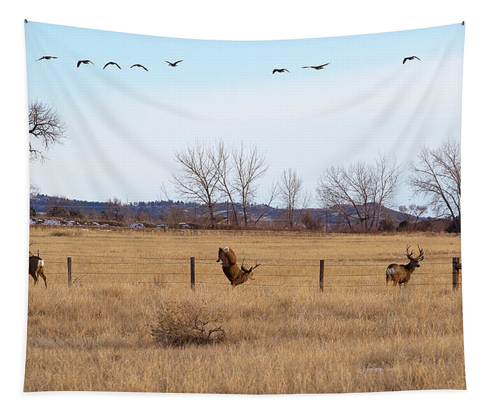 Deer Jumping Phoograph Tapestry featuring the photograph Bucks and Geese by Jim Garrison