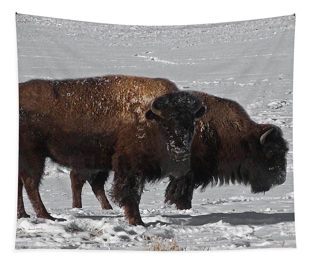 Buffalo Tapestry featuring the photograph Buffalo in Snow by Ernest Echols