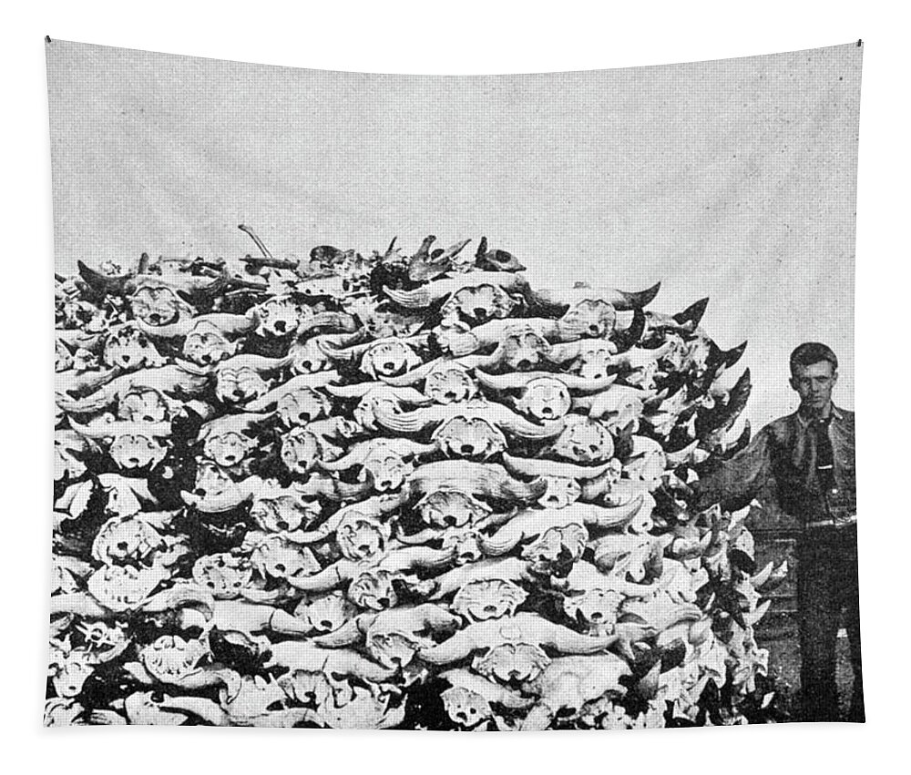 1892 Tapestry featuring the photograph Buffalo Skulls, 1892 by Granger