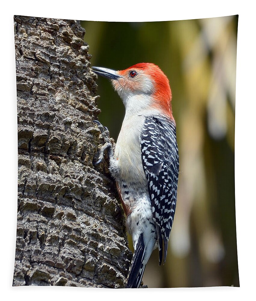 Woodpecker Tapestry featuring the photograph Building A Home by Kathy Baccari