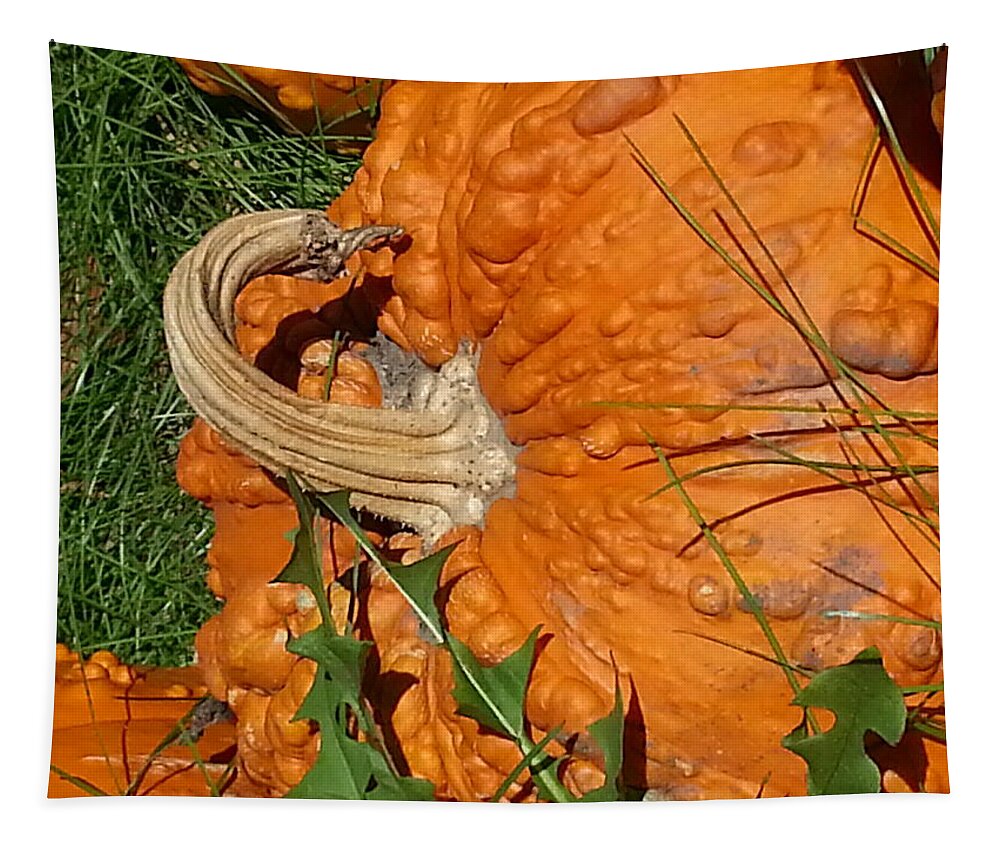 Pumpkin Tapestry featuring the photograph Bumpy and Beautiful by Caryl J Bohn