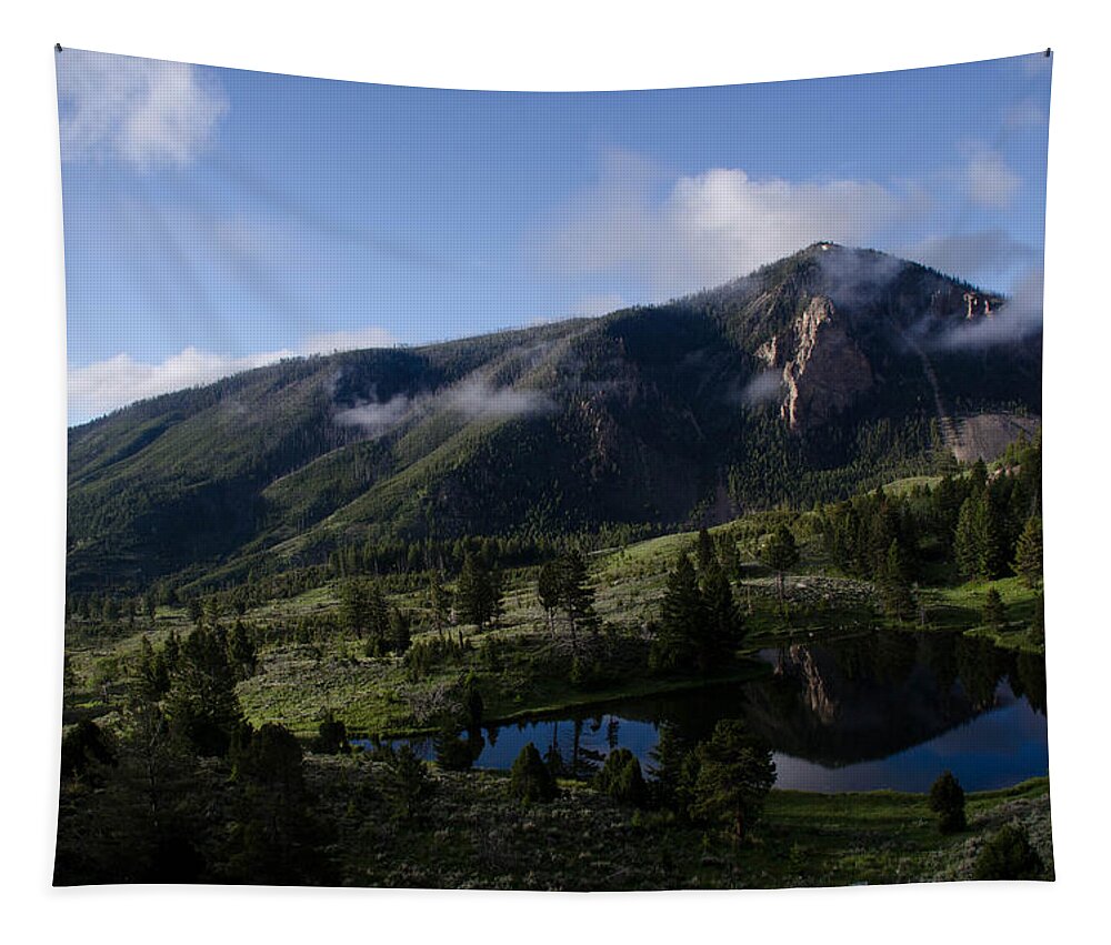 Bunsen Peak Tapestry featuring the photograph Bunsen Peak Reflection by Gary Wightman