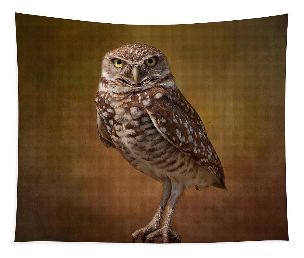 Wildlife Tapestry featuring the photograph Burrowing Owl Portrait by Kim Hojnacki