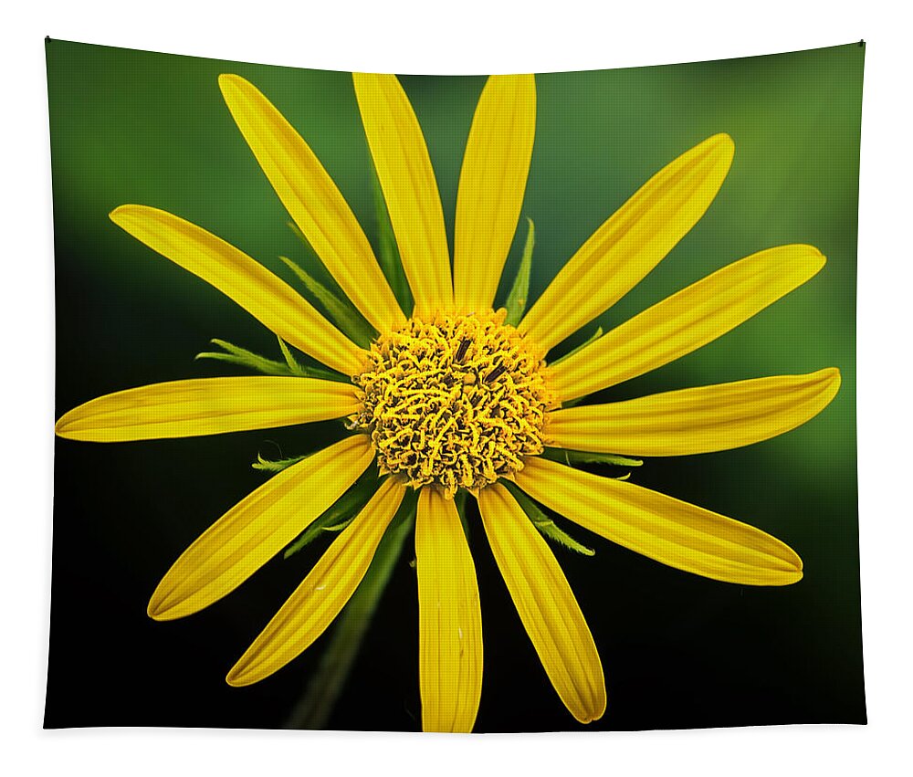 Flower Tapestry featuring the photograph Bursting Yellow Petals by Bill and Linda Tiepelman