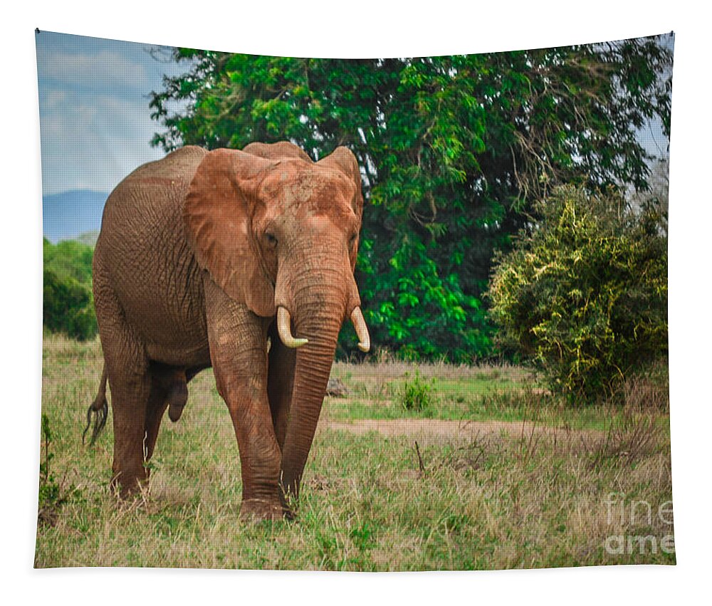 Elephant Tapestry featuring the photograph Bush Elephant Bull by Gary Keesler