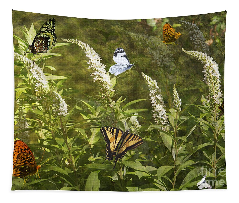 Butterflies Tapestry featuring the photograph Butterflies in Golden Garden by Belinda Greb