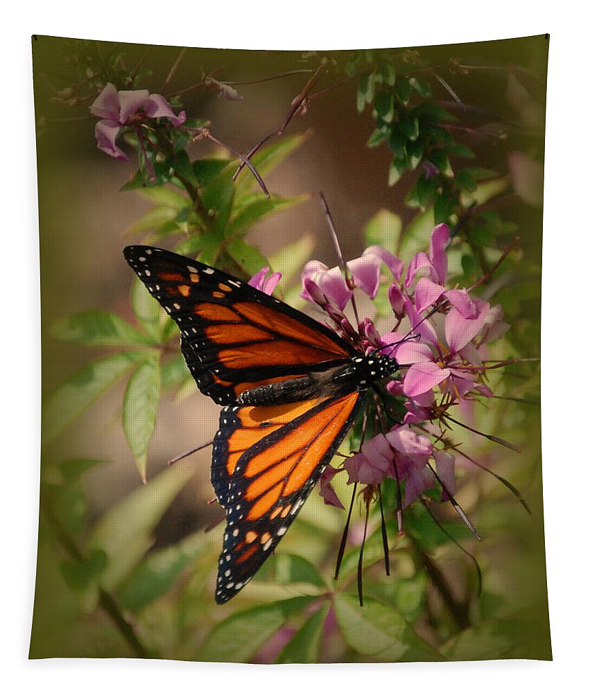 Butterfly Tapestry featuring the photograph Butterfly 5 by Leticia Latocki