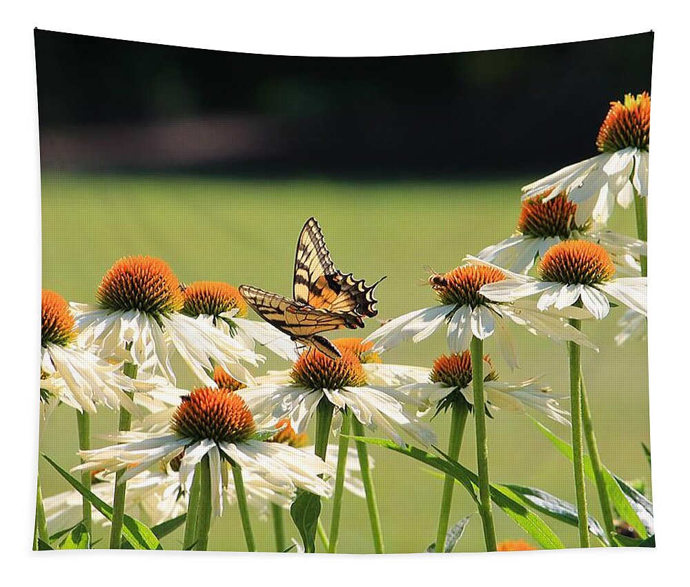 Butterfly Tapestry featuring the photograph Butterfly on Echinacea by Michael Saunders