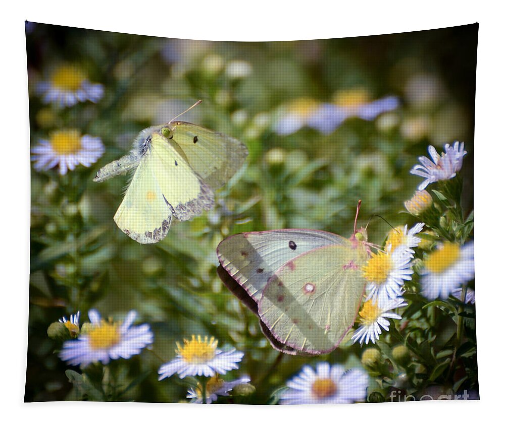 Butterfly Tapestry featuring the photograph Butterfly Moments by Kerri Farley