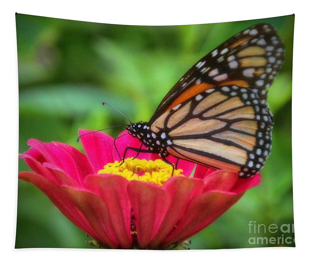 Monarch Butterfly Tapestry featuring the photograph Butterfly Zinnias by Elizabeth Winter