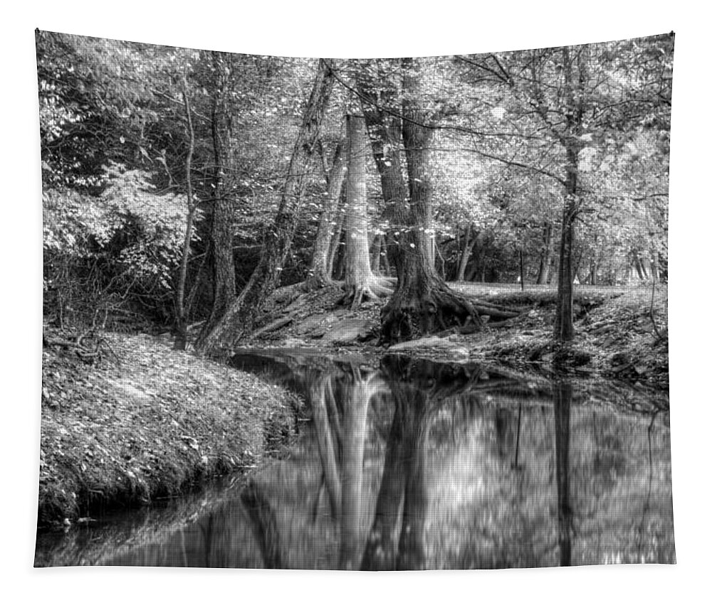 Autumn Tapestry featuring the photograph Butternut Creek Autumn in Black and White by Greg and Chrystal Mimbs