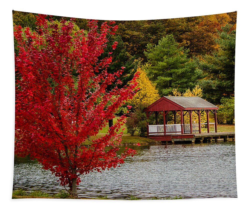 John F Kennedy Memorial Park Tapestry featuring the photograph By the lake by SAURAVphoto Online Store