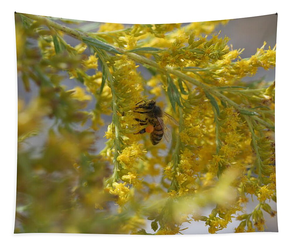 Bee Tapestry featuring the photograph Visiting Bee on Goldenrod by Valerie Collins