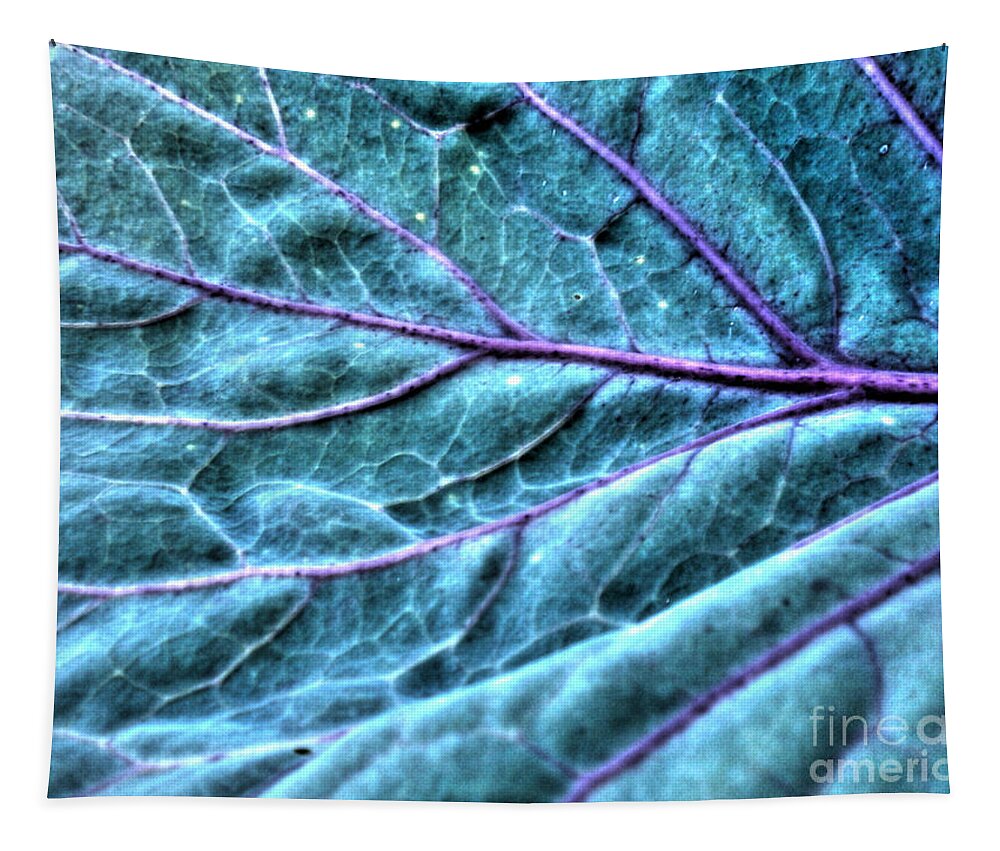 Savoy Cabbage Tapestry featuring the photograph Cabbage Leaf by Nina Ficur Feenan