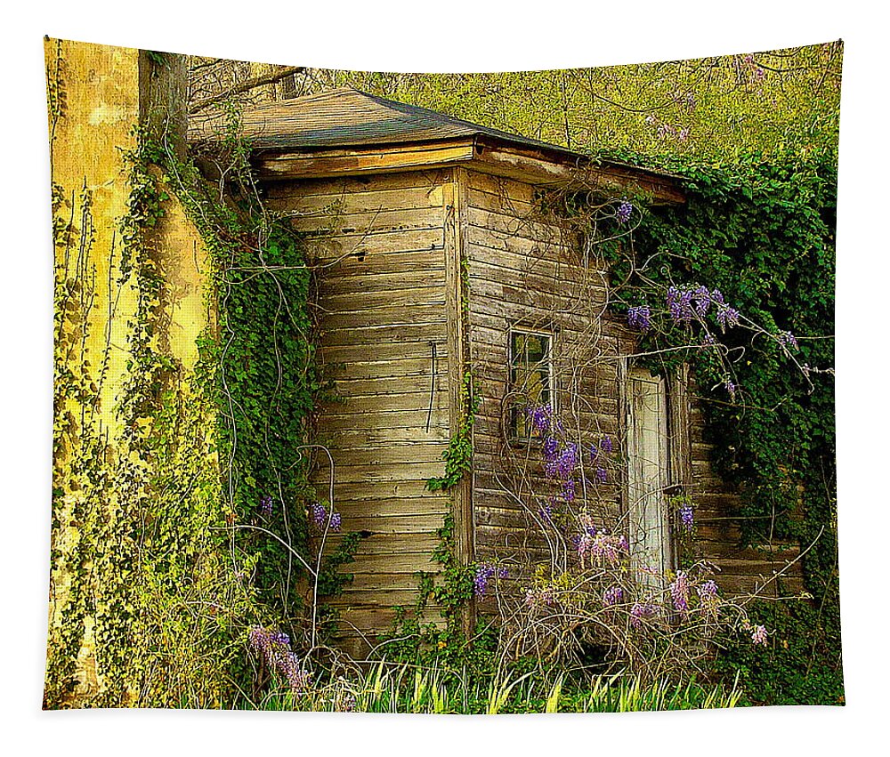 Fine Art Tapestry featuring the photograph Cabin in the Back by Rodney Lee Williams