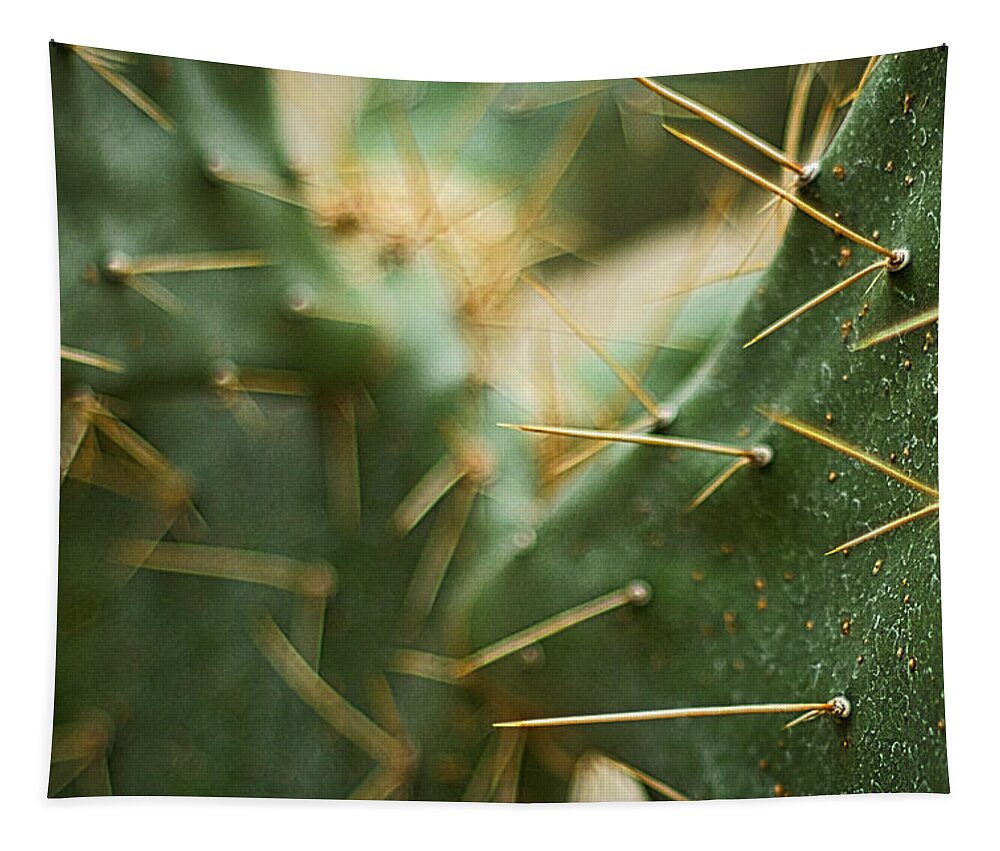 Cactus Tapestry featuring the photograph Cactus Abstract by Stuart Litoff