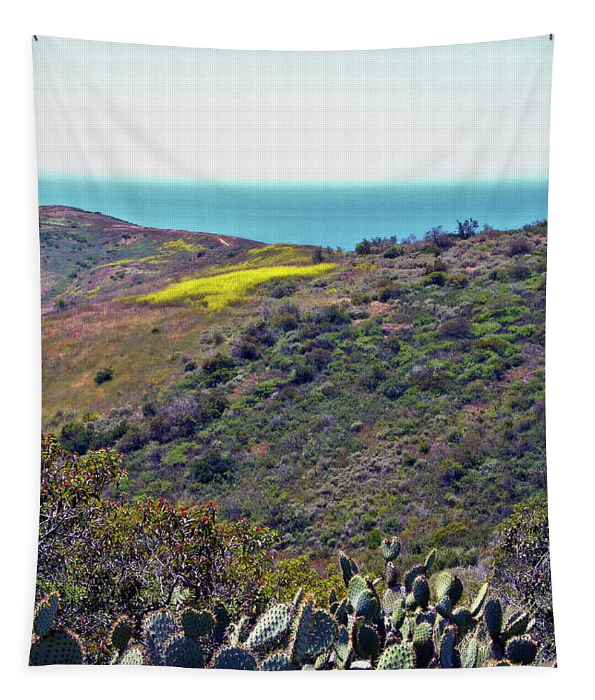 Landscape Tapestry featuring the photograph Cactus To Ocean View by Ben and Raisa Gertsberg