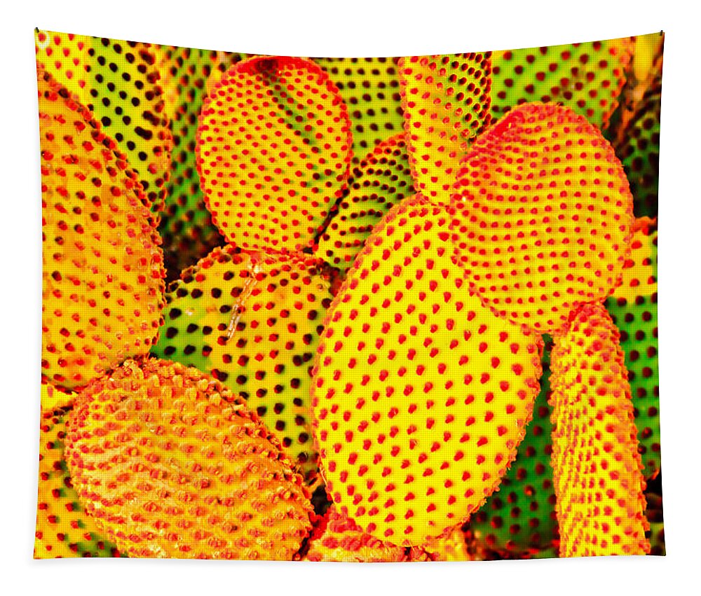Cactus Tapestry featuring the photograph Cactus with Sunset Glow by Ben Graham