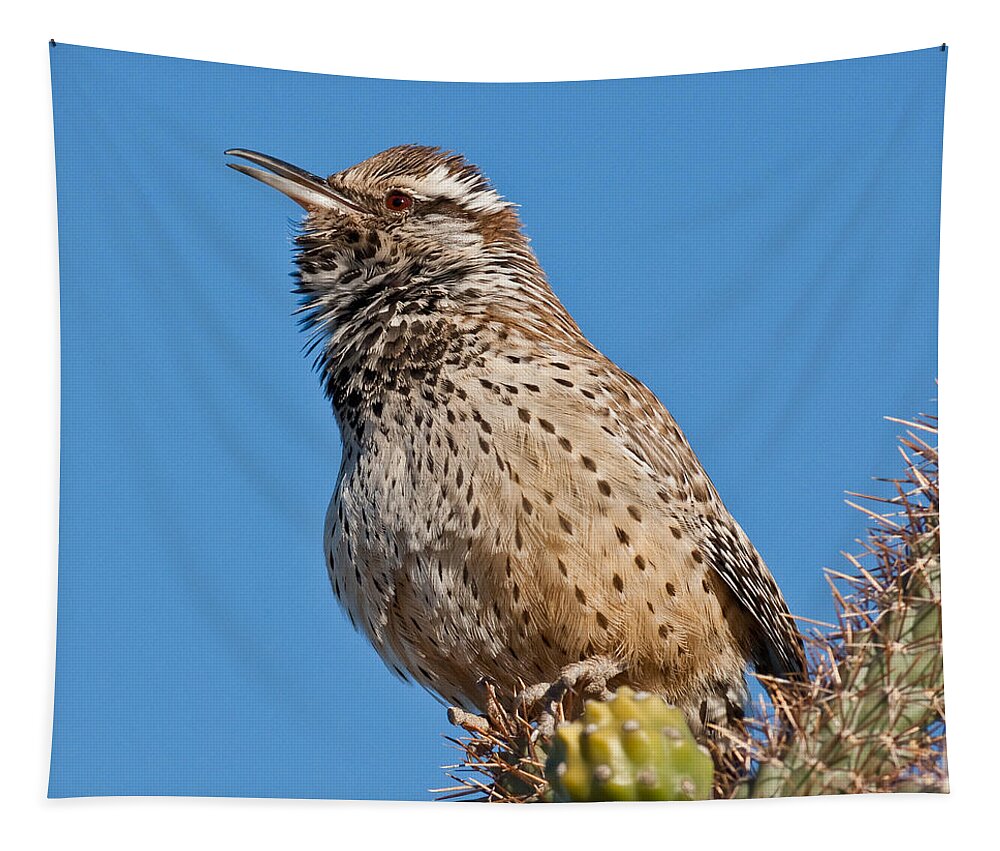 Animal Tapestry featuring the photograph Cactus Wren Singing by Jeff Goulden