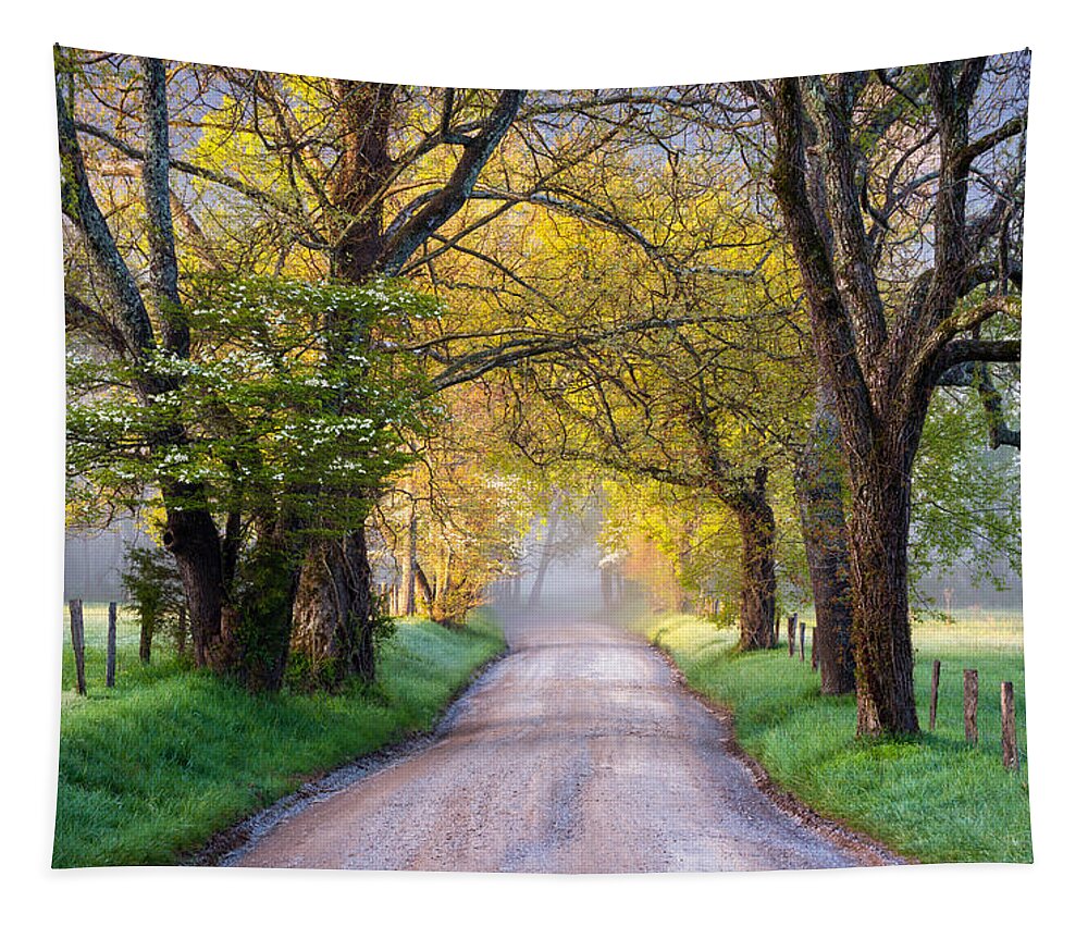 Cades Cove Tapestry featuring the photograph Cades Cove Great Smoky Mountains National Park - Sparks Lane by Dave Allen