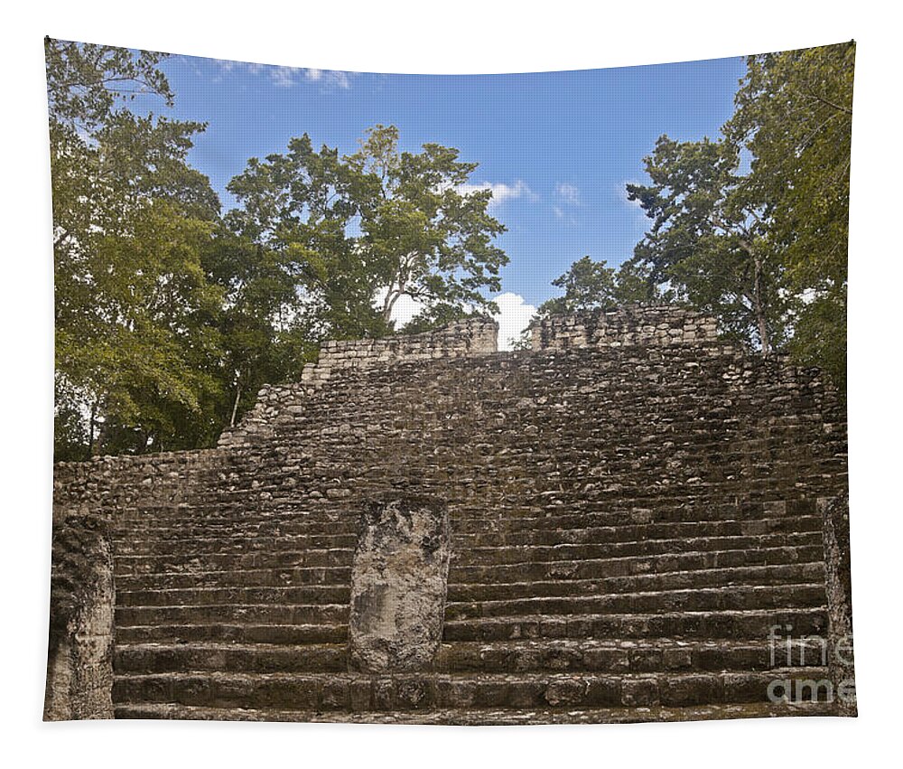 Structure Iv-c Tapestry featuring the photograph Calakmul Ruins by Ellen Thane