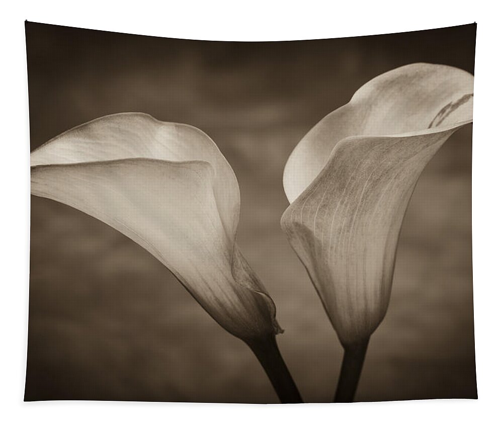 Green Tapestry featuring the photograph Calla Lilies in Sepia by Sebastian Musial