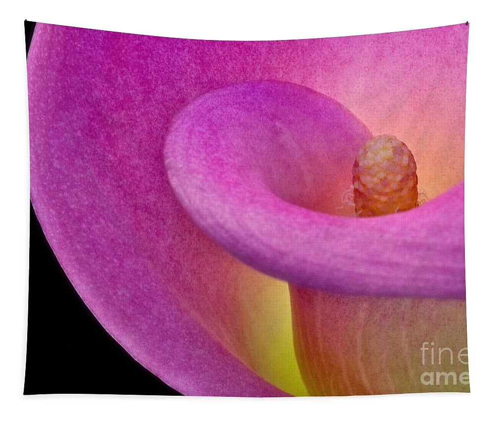 Calla Tapestry featuring the Calla Lily by Susan Candelario