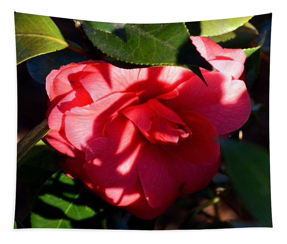 Camelia In The Shadows Tapestry featuring the photograph Camelia in the Shadows by Maria Urso
