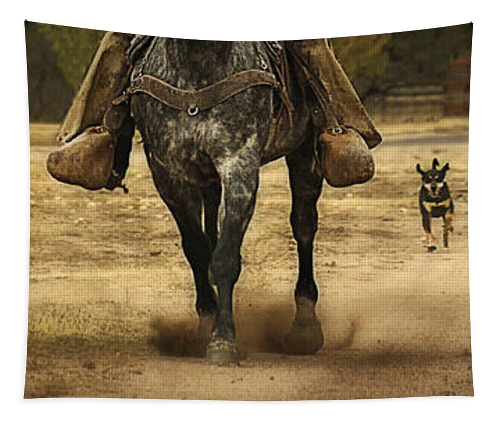 Running Tapestry featuring the photograph Canine Verses Equine by Priscilla Burgers