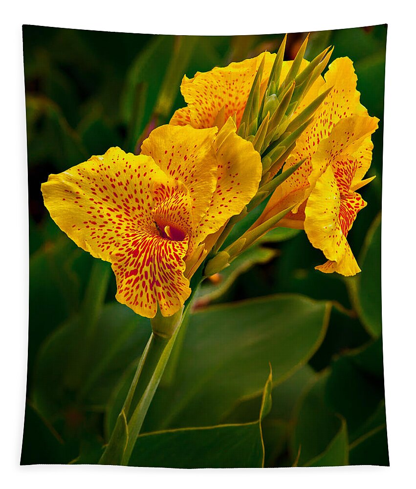 Canna Tapestry featuring the photograph Canna Blossom by Mary Jo Allen