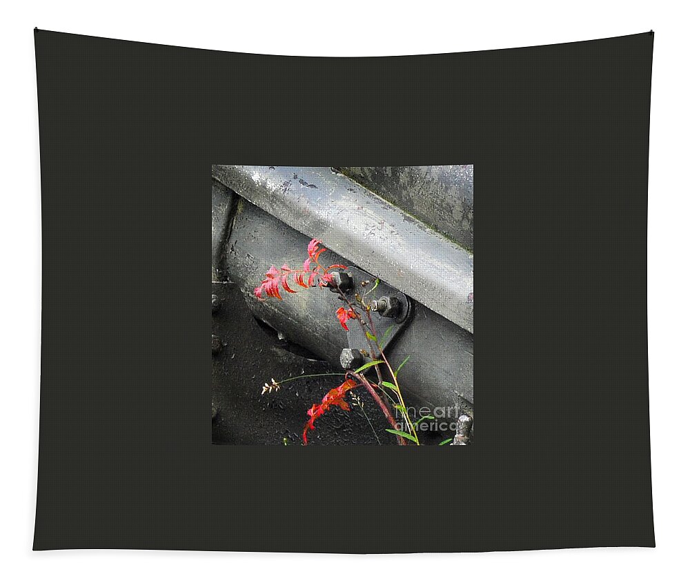 Metal Tapestry featuring the photograph Canon Metal by Randi Grace Nilsberg