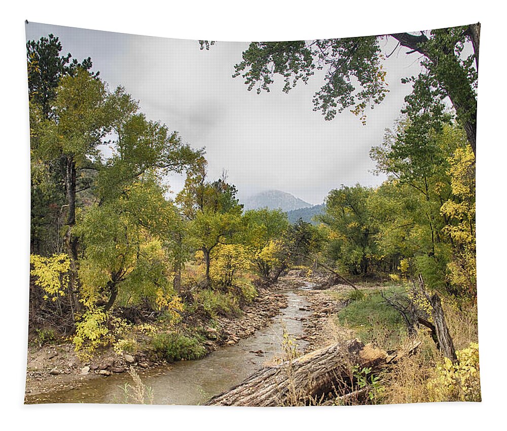 Fall Foliage Tapestry featuring the photograph Canyon Gazing by James BO Insogna