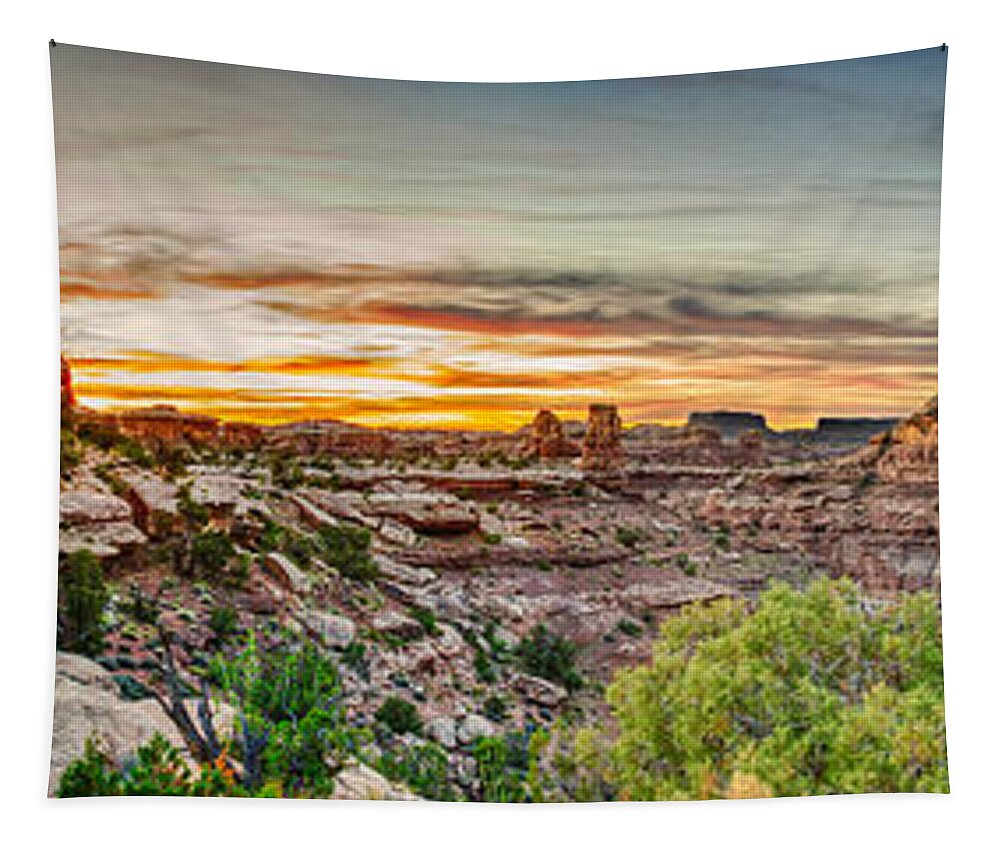 Pano Tapestry featuring the photograph Canyonlands National Park by Brett Engle
