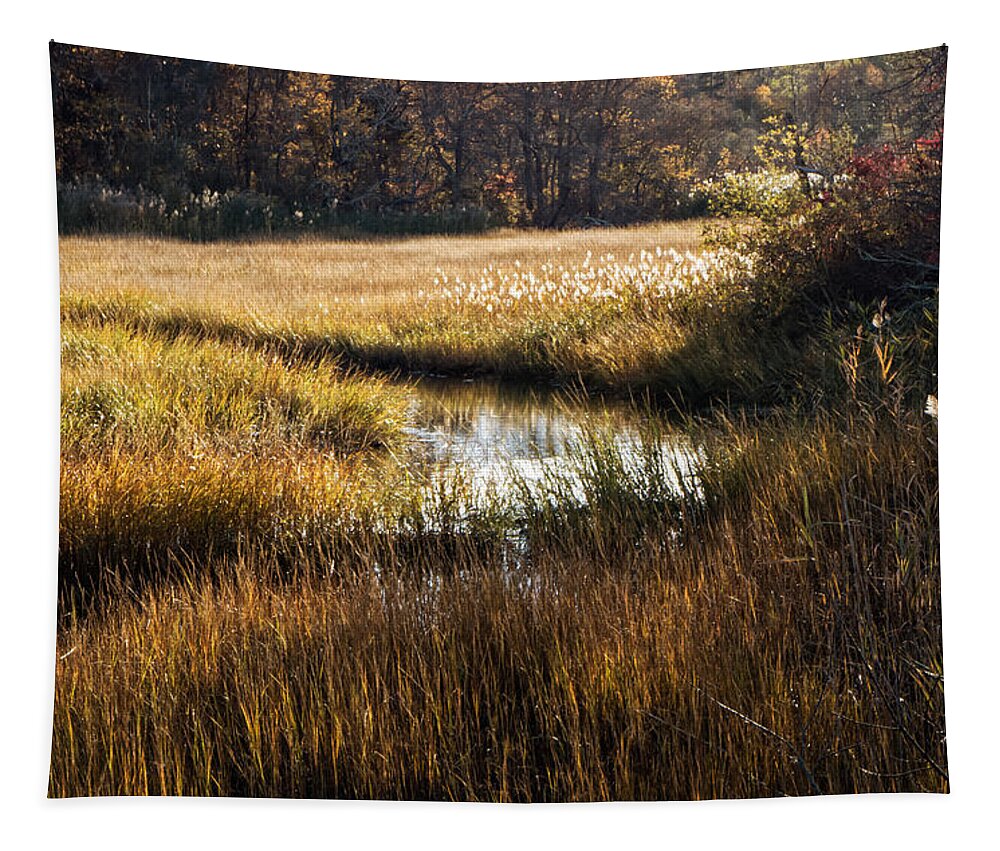 Cape Cod Tapestry featuring the photograph Cape Cod Marsh by Frank Winters