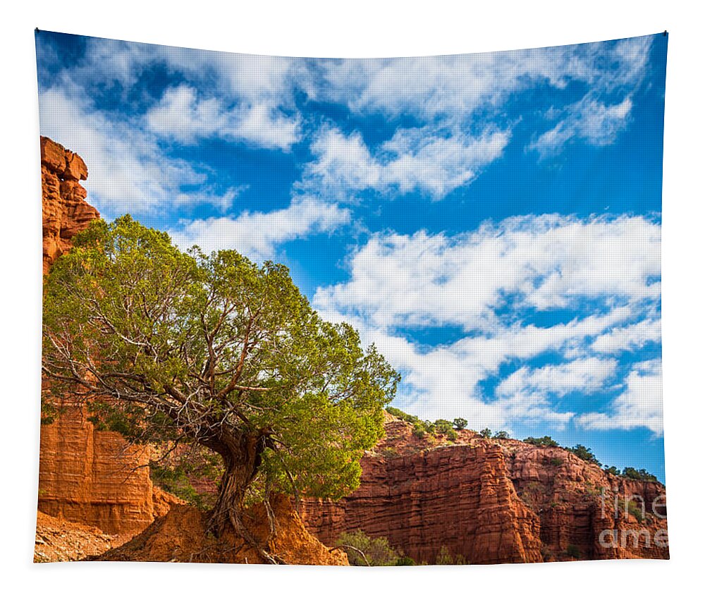America Tapestry featuring the photograph Caprock Canyon Tree by Inge Johnsson